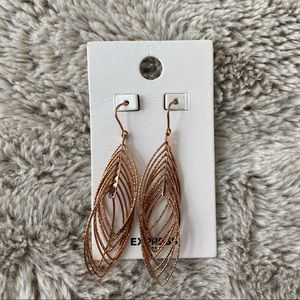 Express Oval Dangle Earrings